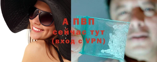 дмт Арсеньев